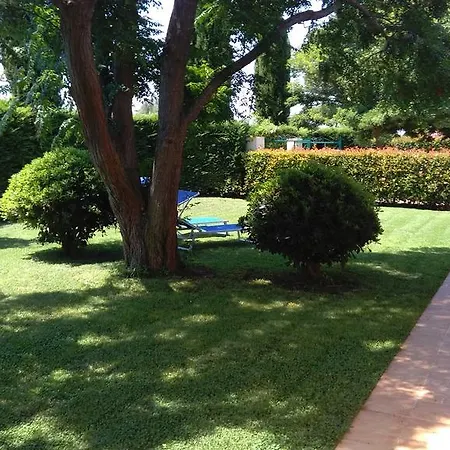 Appartement Podere Oca Bianca Pescia Romana